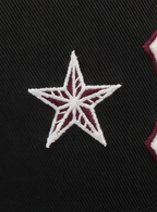 New York Yankees Dual Star